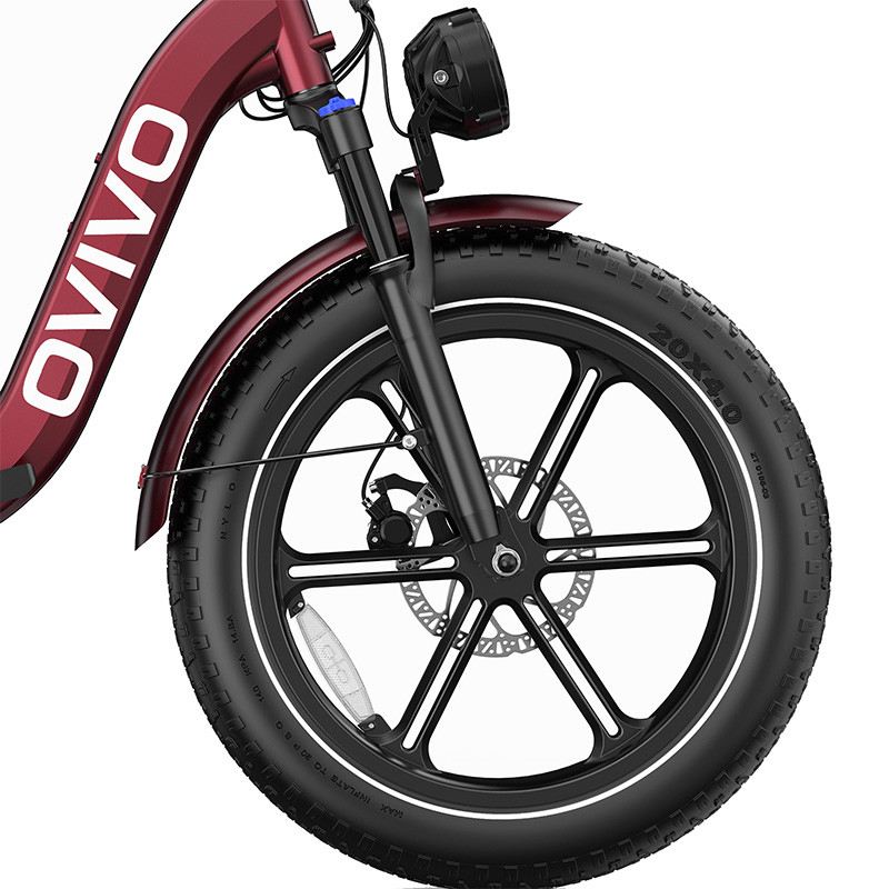 OVIVO NEO C2 FAT E-BIKE PIEGHEVOLE 250W 48V foto 4