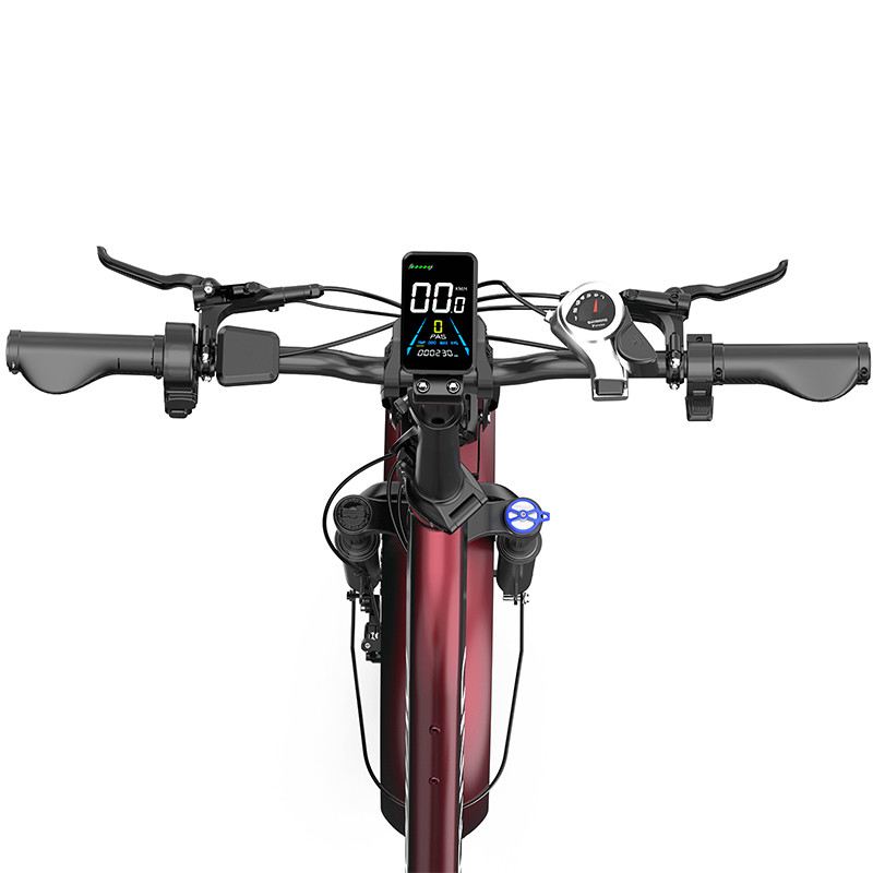 OVIVO NEO C2 FAT E-BIKE PIEGHEVOLE 250W 48V foto 7