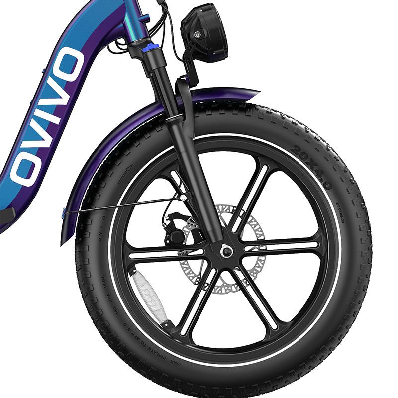 OVIVO NEO C2 FAT E-BIKE PIEGHEVOLE 250W 48V foto 15