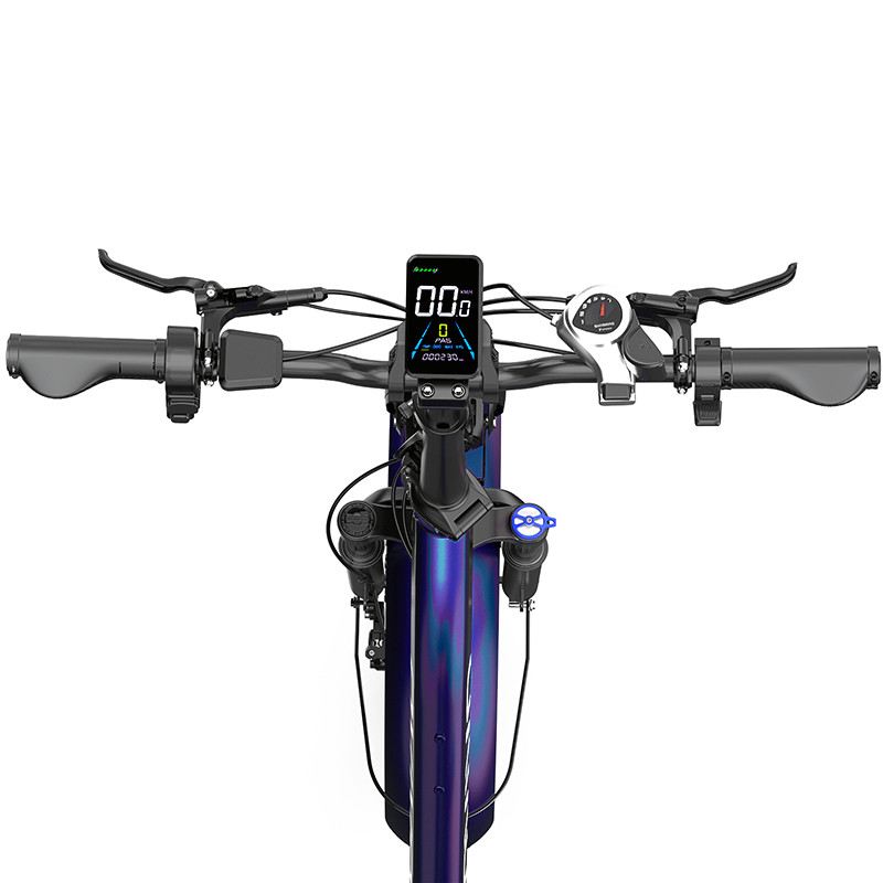 OVIVO NEO C2 FAT E-BIKE PIEGHEVOLE 250W 48V foto 18