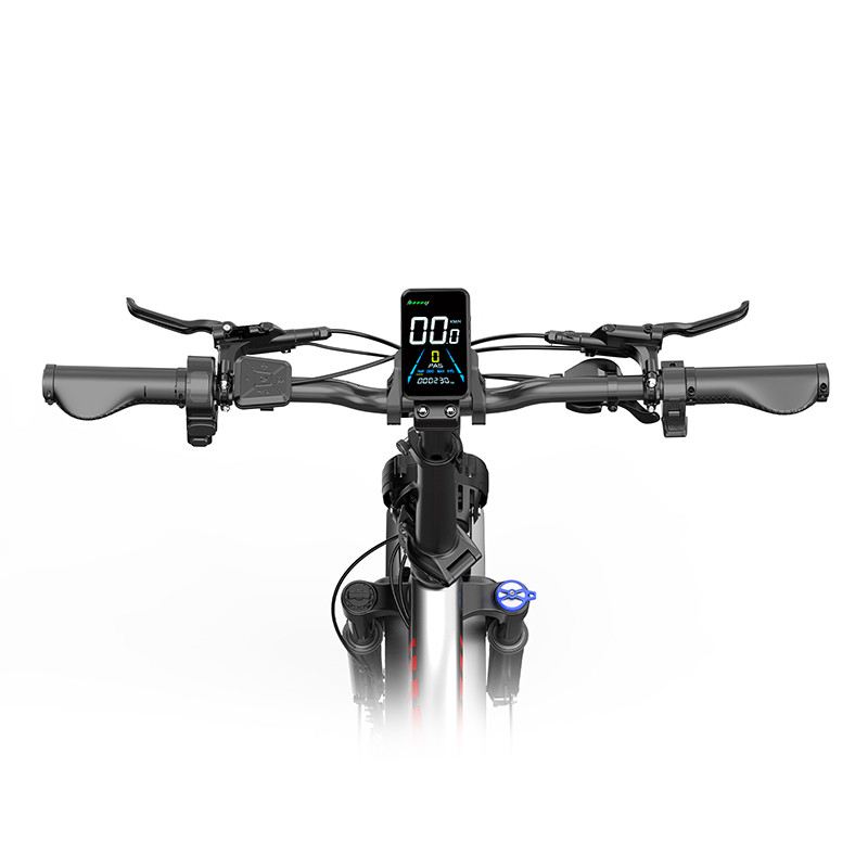 OVIVO NEO C2 PRO FAT E-BIKE PIEGHEVOLE 250W 48V foto 14