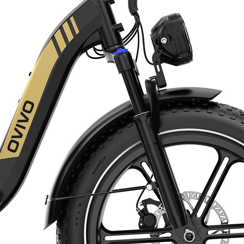OVIVO NEO C2 PRO FAT E-BIKE PIEGHEVOLE 250W 48V foto 6