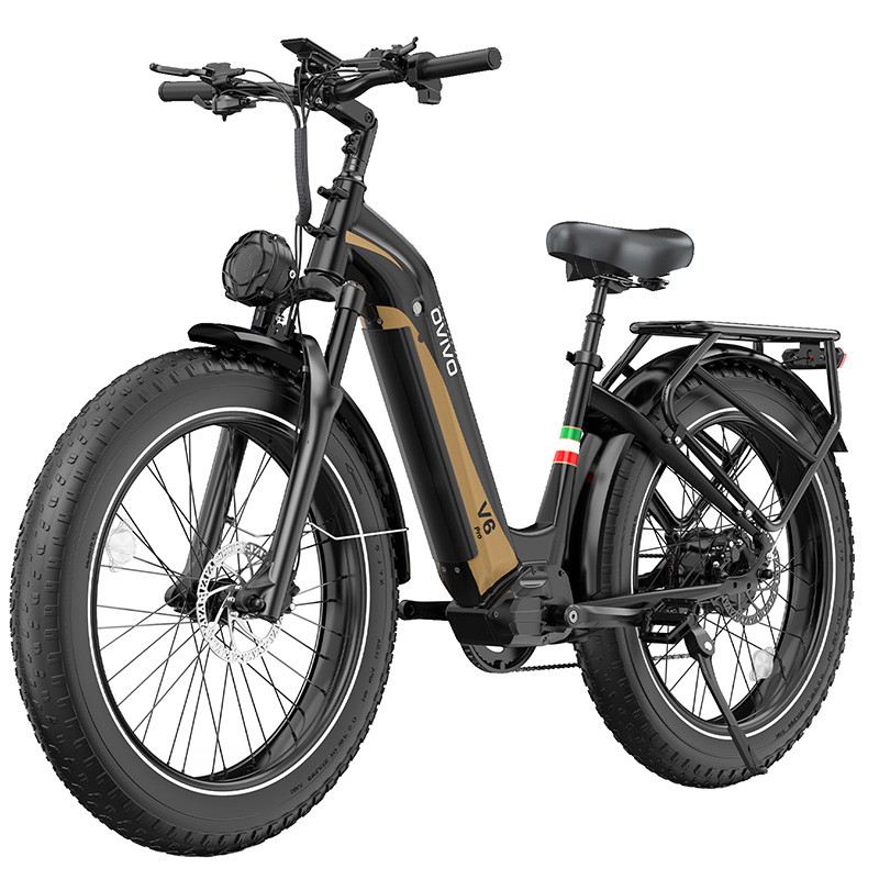 OVIVO V6 PRO FAT MOUNTAIN E-BIKE 26" 250W 48V 20AH foto 2