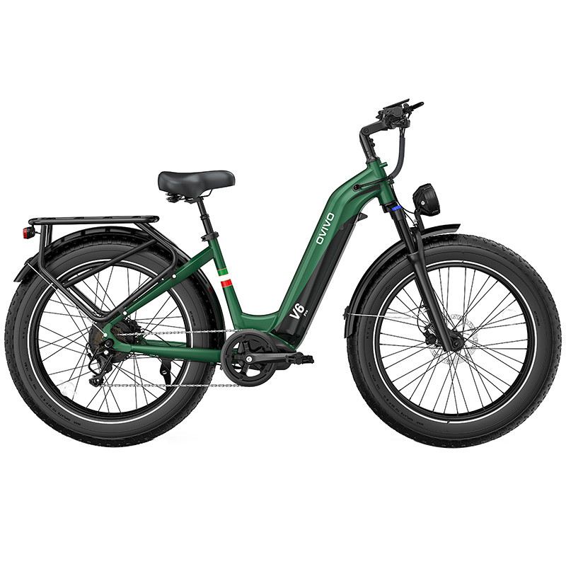 OVIVO V6 PRO FAT MOUNTAIN E-BIKE 26" 250W 48V 20AH foto 3