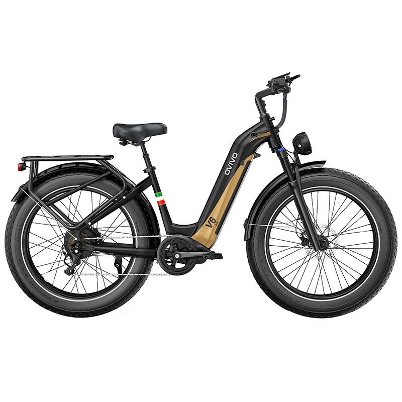 OVIVO V6 PRO FAT MOUNTAIN E-BIKE 26" 250W 48V 20AH foto 11