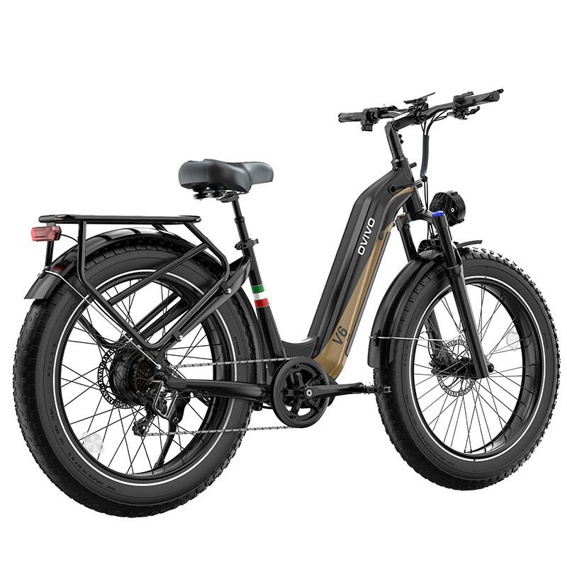 OVIVO V6 PRO FAT MOUNTAIN E-BIKE 26" 250W 48V 20AH foto 12