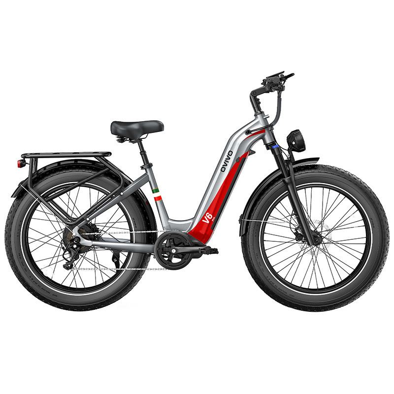 OVIVO V6 PRO FAT MOUNTAIN E-BIKE 26" 250W 48V 20AH foto 18