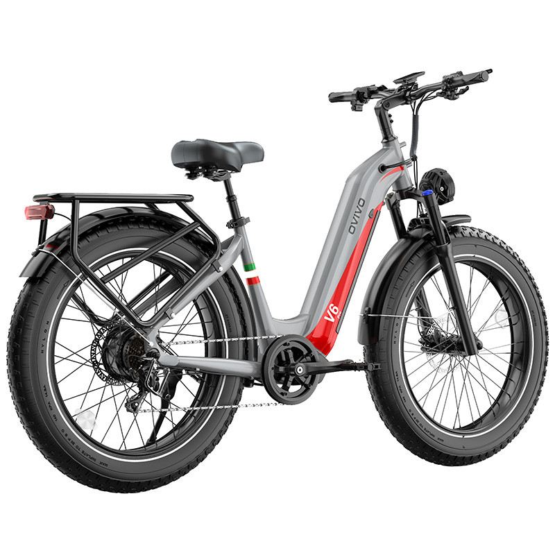 OVIVO V6 PRO FAT MOUNTAIN E-BIKE 26" 250W 48V 20AH foto 19