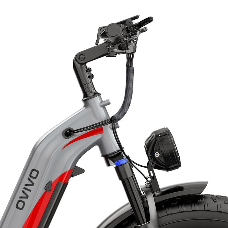 OVIVO V6 PRO FAT MOUNTAIN E-BIKE 26" 250W 48V 20AH foto 20