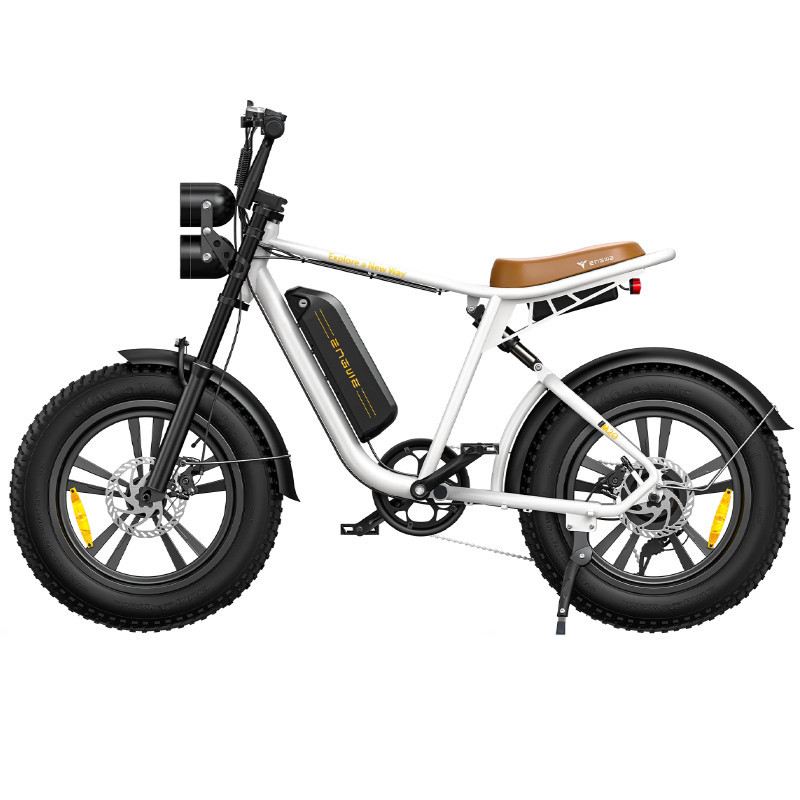 ENGWE E-BIKE M20 250W 48V 13AH foto 2