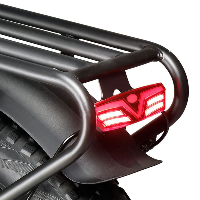 VITILAN V3 2.0 FAT BIKE PIEGHEVOLE 250W 48V foto 20