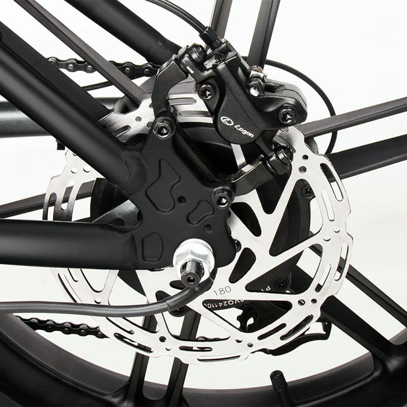 VITILAN V3 2.0 FAT BIKE PIEGHEVOLE 250W 48V foto 15