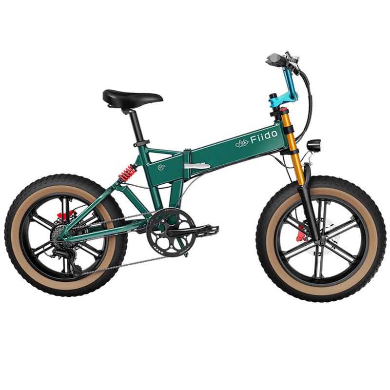 FIIDO M1 PRO FAT BIKE PIEGHEVOLE 250W 48V foto 3