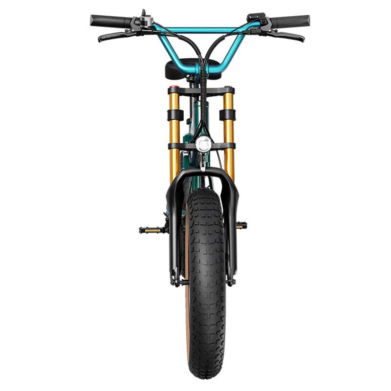 FIIDO M1 PRO FAT BIKE PIEGHEVOLE 250W 48V foto 5