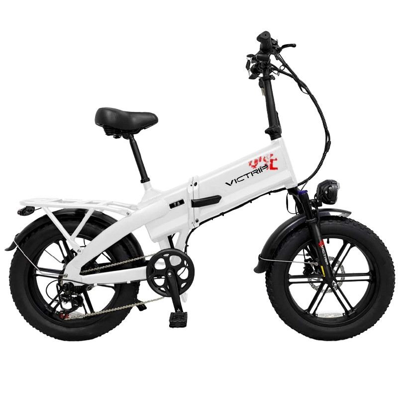 VICTRIP T6 FAT BIKE PIEGHEVOLE 250W 48V foto 4
