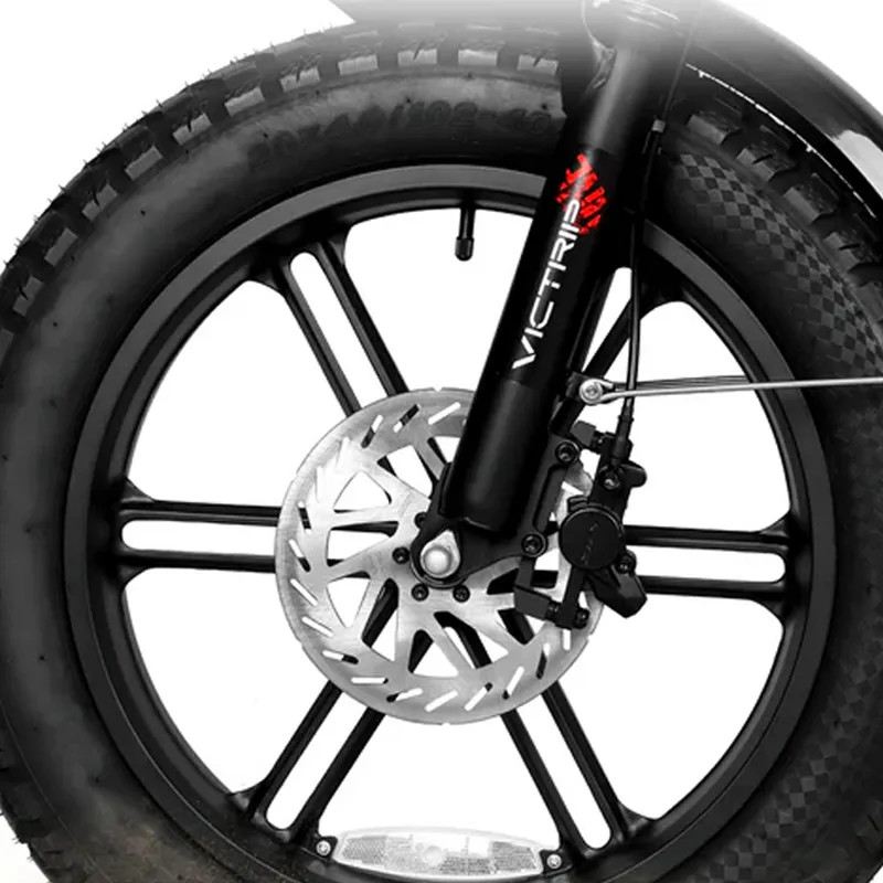 VICTRIP T6 FAT BIKE PIEGHEVOLE 250W 48V foto 13