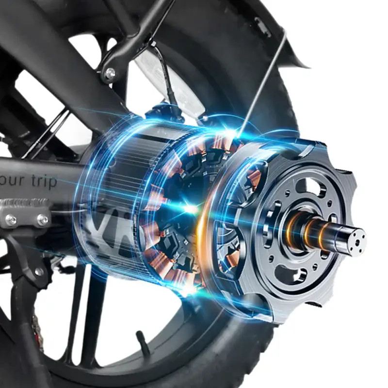 VICTRIP T6 FAT BIKE PIEGHEVOLE 250W 48V foto 15