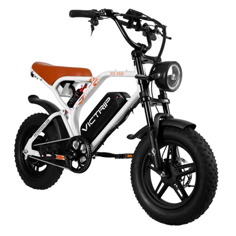 VICTRIP R6 PRO MOPED E-BIKE 250W 48V FULL SUSPENSION foto 2