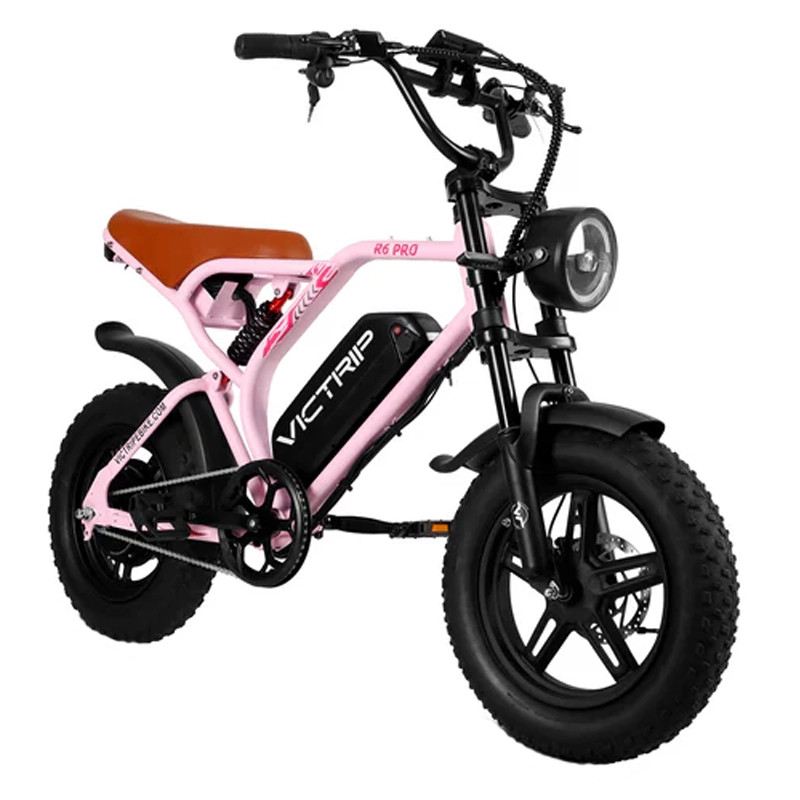 VICTRIP R6 PRO MOPED E-BIKE 250W 48V FULL SUSPENSION foto 7