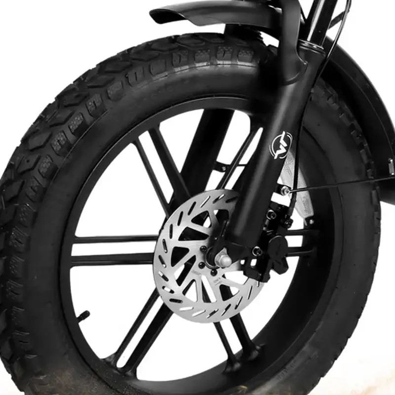 VICTRIP R5 PRO FAT BIKE PIEGHEVOLE 250W 48V FULL SUSPENSION foto 6