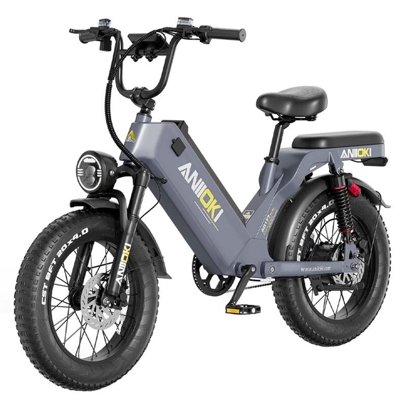 ANIIOKI AQ177 PRO MAX FAT BIKE 750W 48V 60AH FULL SUSPENSION foto 2