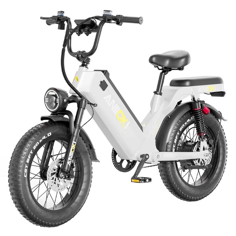 ANIIOKI AQ177 PRO MAX FAT BIKE 750W 48V 60AH FULL SUSPENSION foto 4