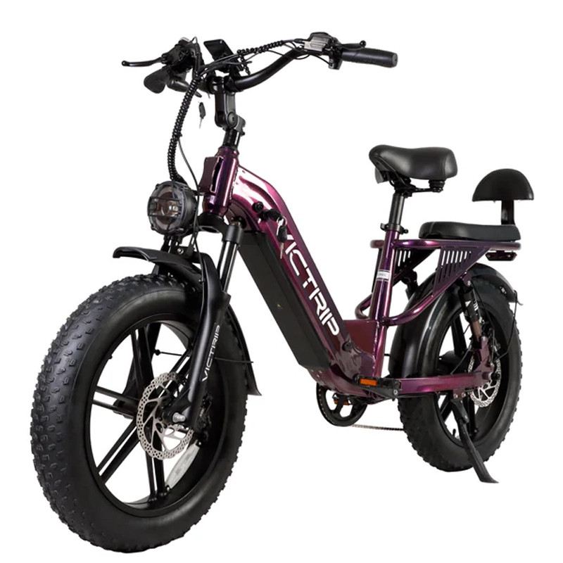 VICTRIP MIMAS FAT BIKE 750W 48V FULL SUSPENSION foto 3
