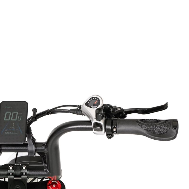 RESETBIKE REDWOOD 992 FAT BIKE 2WD 250W 60V DUAL MOTOR foto 14