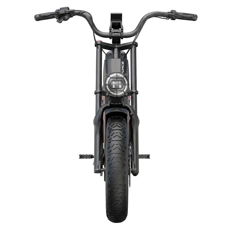 G-FORCE ZM PRO FAT BIKE 250W 52V 60AH foto 3