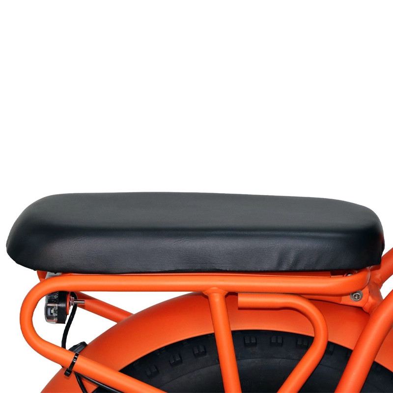 BAOLUJIE E-BIKE PIEGHEVOLE SMART MOVE MINI 500W 48V foto 6