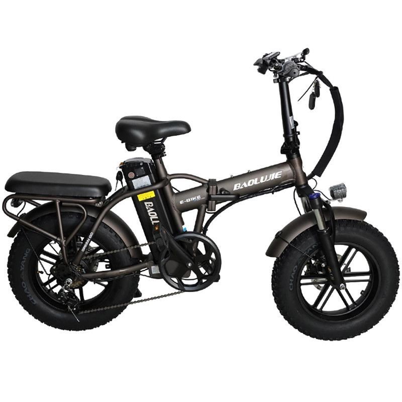 BAOLUJIE E-BIKE PIEGHEVOLE SMART MOVE MINI 250W 48V foto 7