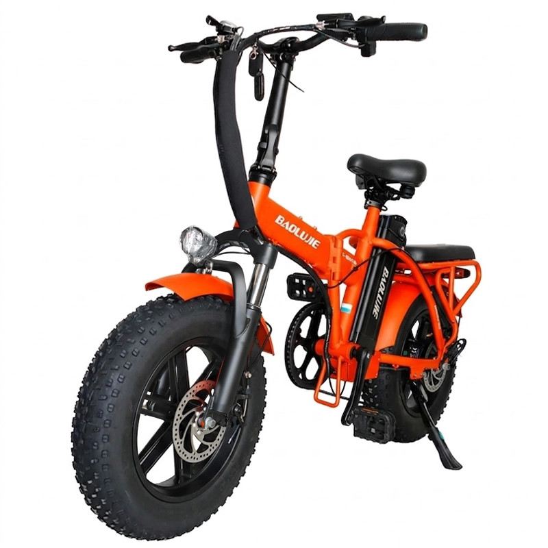 BAOLUJIE E-BIKE PIEGHEVOLE SMART MOVE MINI 250W 48V foto 11
