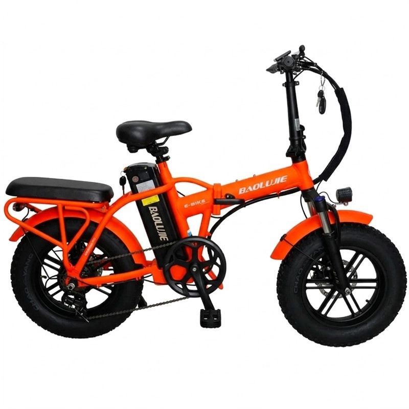 BAOLUJIE E-BIKE PIEGHEVOLE SMART MOVE MINI 250W 48V foto 12