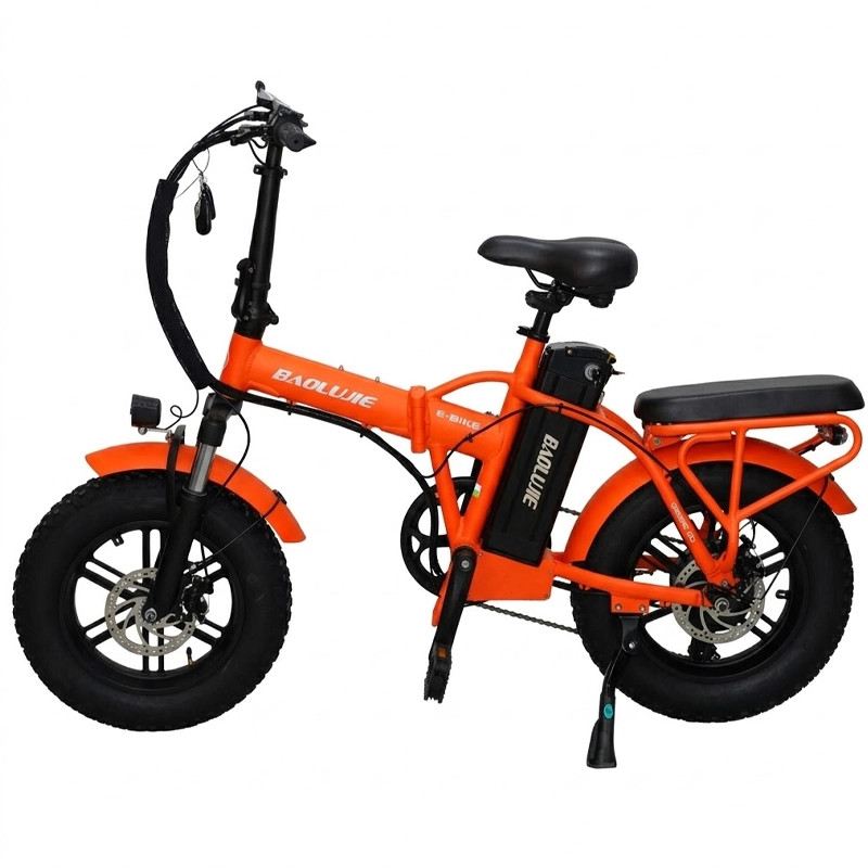 BAOLUJIE E-BIKE PIEGHEVOLE SMART MOVE MINI 250W 48V foto 13