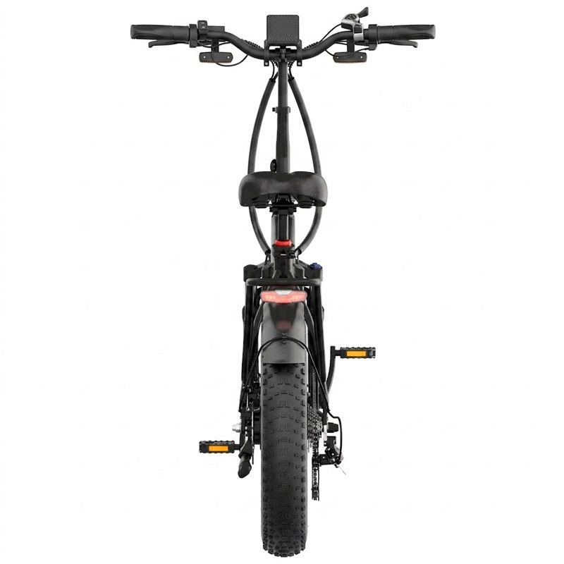 ANIIOKI A6 PRO MAX FAT BIKE PIEGHEVOLE 250W 48V 20AH foto 19