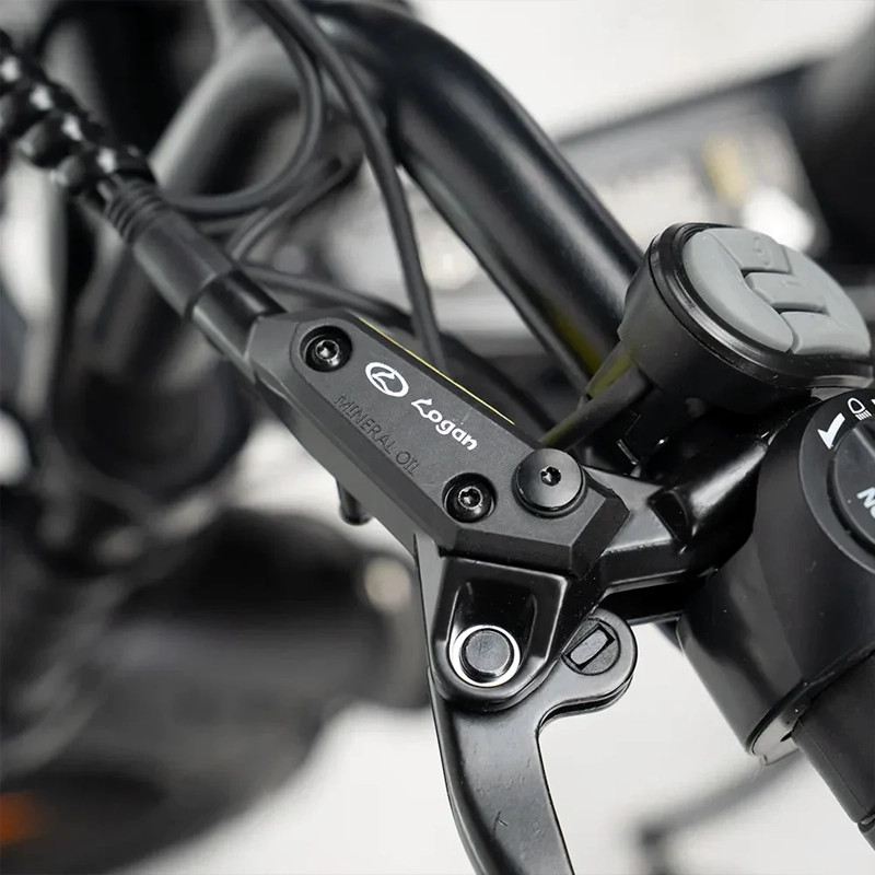 OUXI V8 PRO FAT E-BIKE 750W 48V FULL SUSPENSION foto 11