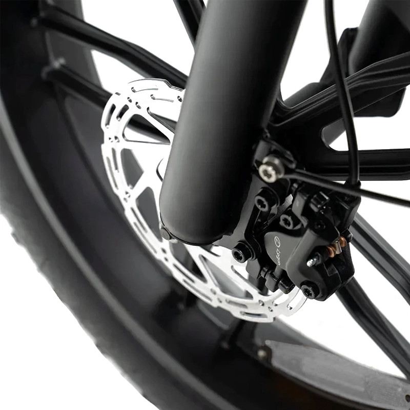 OUXI V8 PRO FAT E-BIKE 250W 48V DOPPIA BATTERIA FULL SUSPENSION foto 10