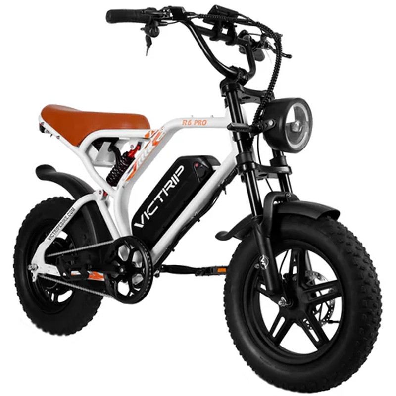VICTRIP R6 PRO OFF ROAD E-BIKE 1500W 48V 25 AH FULL SUSPENSION foto 2