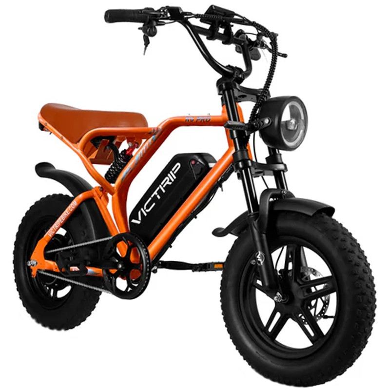 VICTRIP R6 PRO OFF ROAD E-BIKE 1500W 48V 25 AH FULL SUSPENSION foto 11