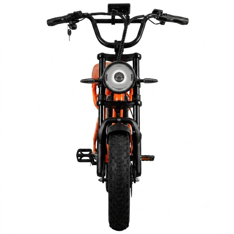 VICTRIP R6 PRO OFF ROAD E-BIKE 1500W 48V 25 AH FULL SUSPENSION foto 12