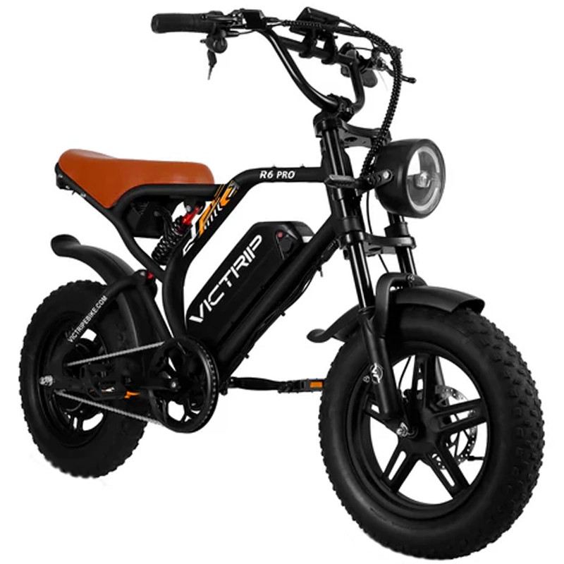 VICTRIP R6 PRO OFF ROAD E-BIKE 750W 48V 25 AH FULL SUSPENSION foto 2