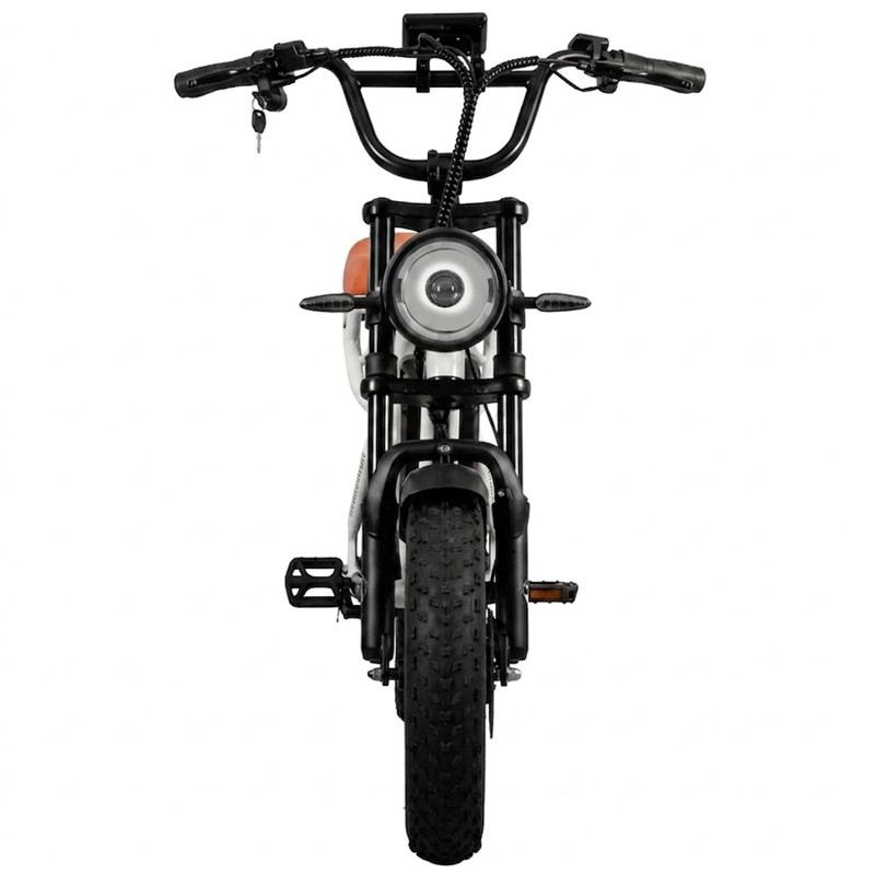 VICTRIP R6 PRO OFF ROAD E-BIKE 750W 48V 25 AH FULL SUSPENSION foto 3