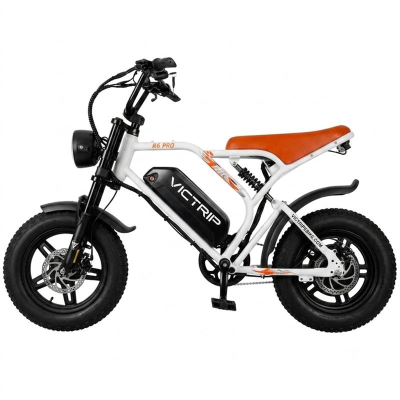 VICTRIP R6 PRO OFF ROAD E-BIKE 750W 48V 25 AH FULL SUSPENSION foto 5