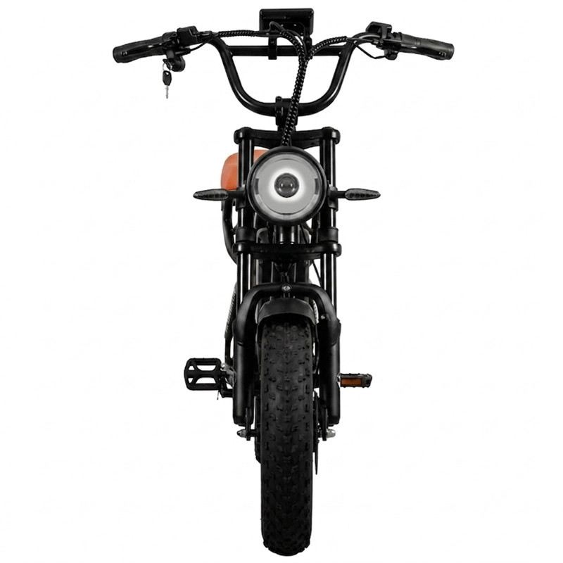VICTRIP R6 PRO OFF ROAD E-BIKE 750W 48V 25 AH FULL SUSPENSION foto 7