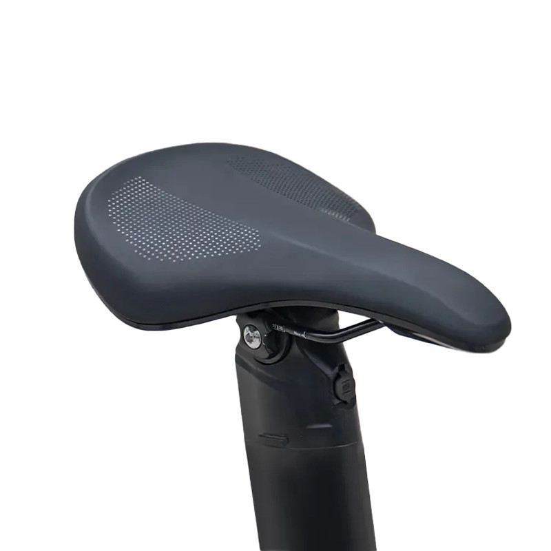 FIIDO X E-BIKE PIEGHEVOLE 250W 36V foto 11