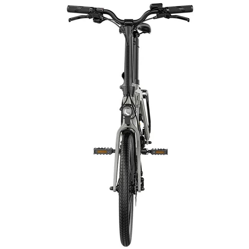FIIDO D11 E-BIKE PIEGHEVOLE 250W 36V foto 3
