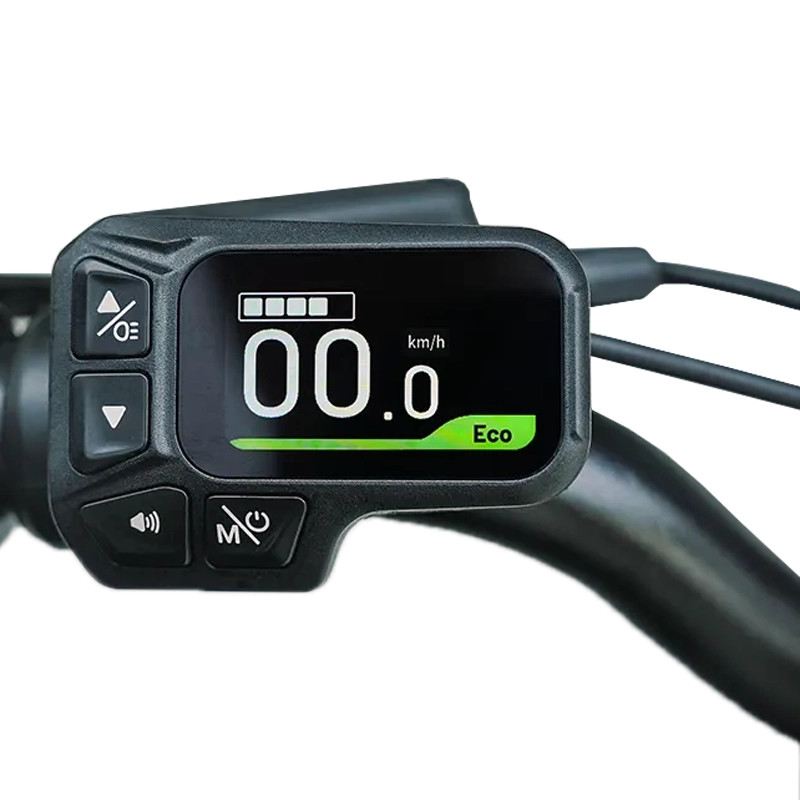 FIIDO D11 E-BIKE PIEGHEVOLE 250W 36V foto 10