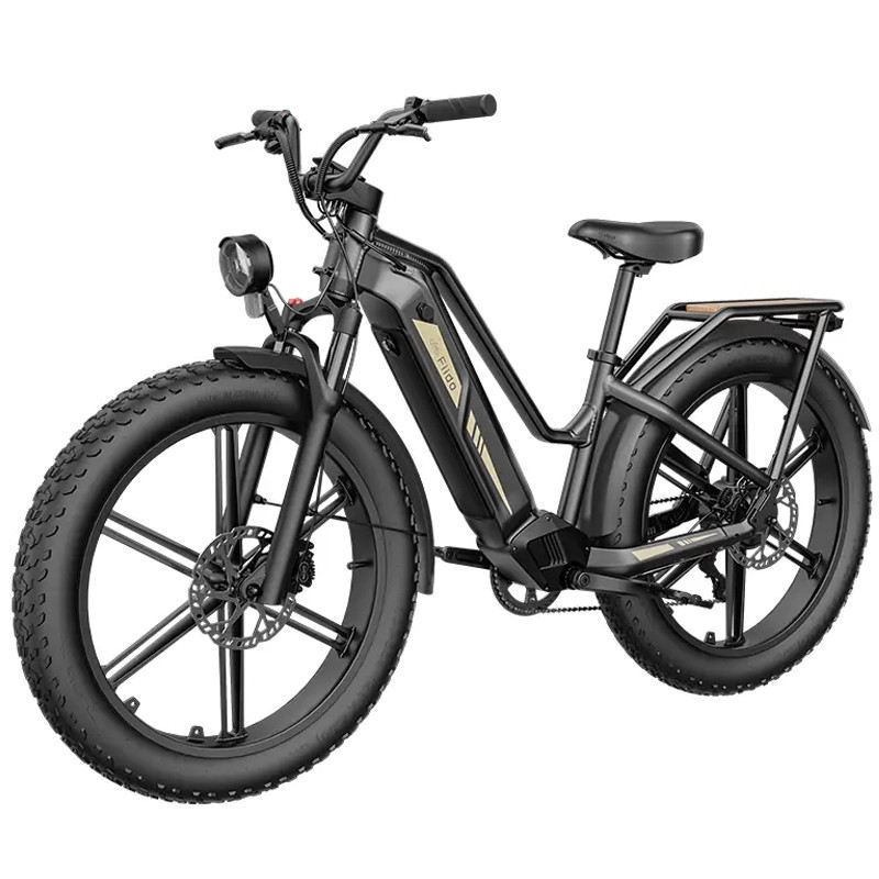 FIIDO TITAN FAT BIKE 250W 48V 14.5AH - STANDARD foto 2
