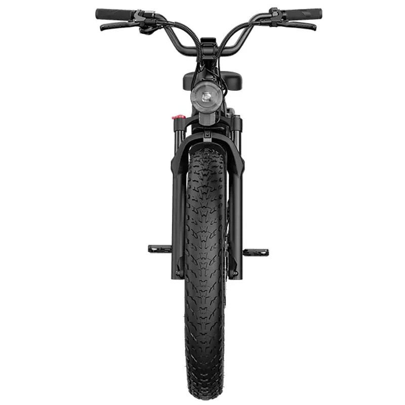 FIIDO TITAN FAT BIKE 250W 48V 14.5AH - STANDARD foto 3