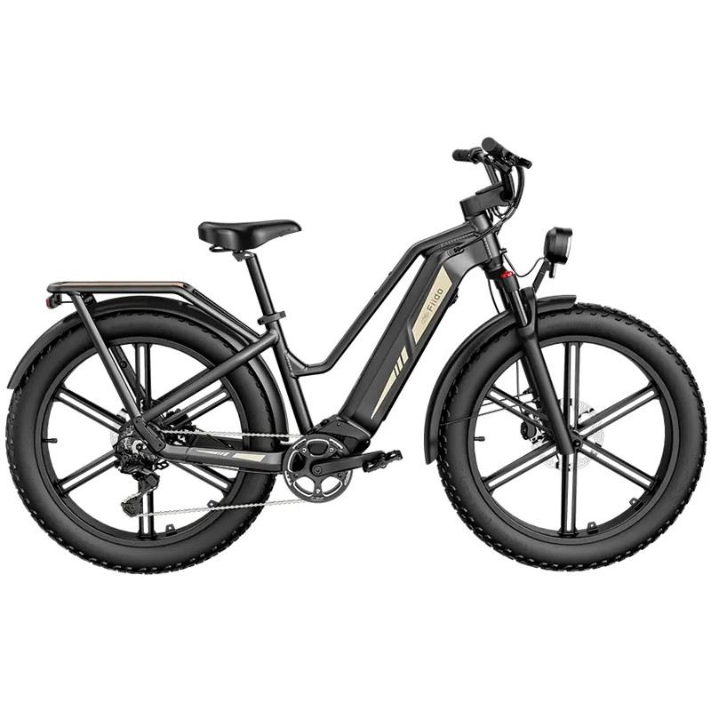 FIIDO TITAN FAT BIKE 250W 48V 14.5AH - STANDARD foto 4